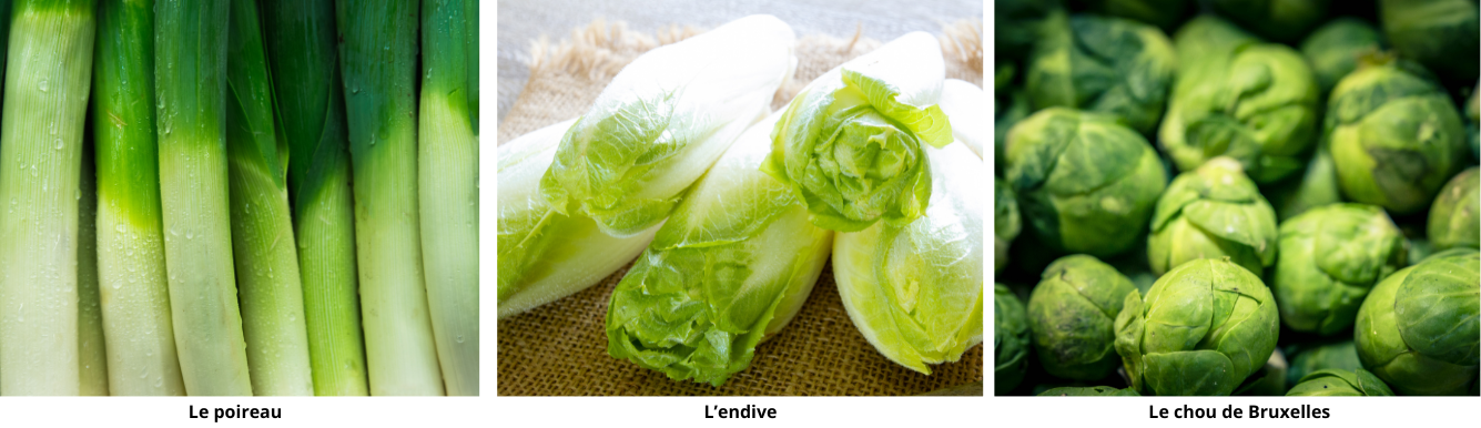 janvier légumes 1